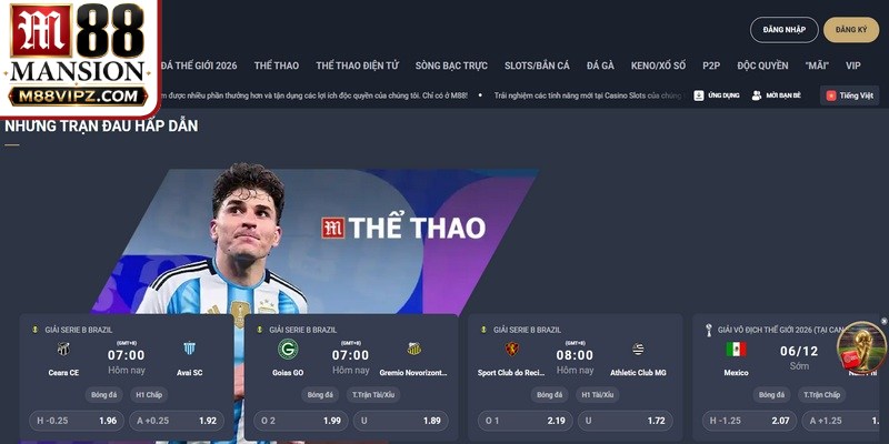 Lý do giao dịch bị chậm 30 phút sau khi kết thúc M88 bảo trì