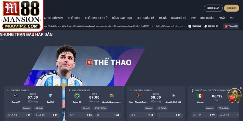 Cách phòng tránh rủi ro khi tham gia cá cược trực tuyến M88